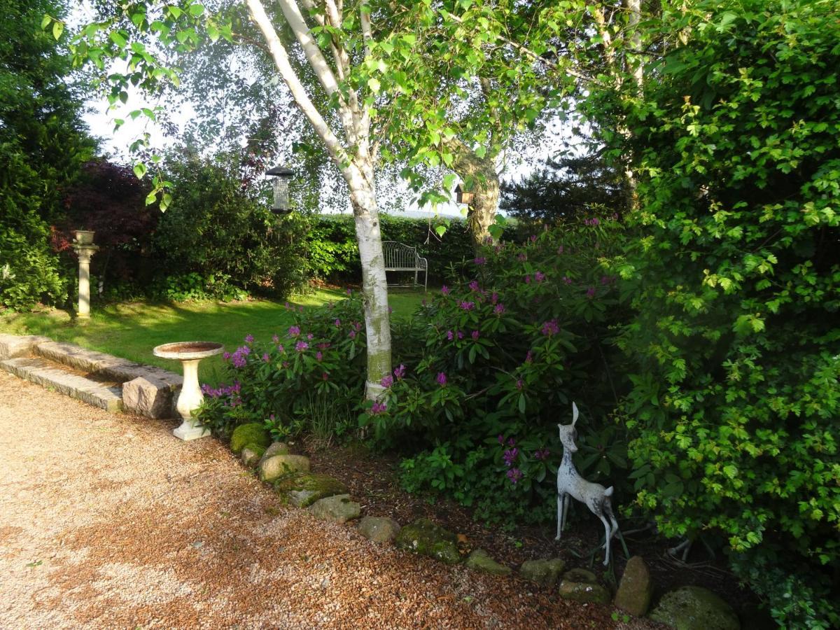 Cleriach Cottage Milton of Auchinhove Buitenkant foto